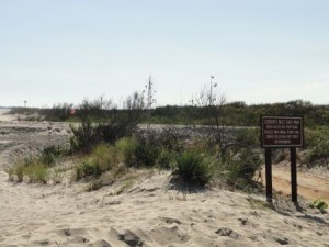 The entrance to Corson's Inlet State Park will now include a dune crossover.