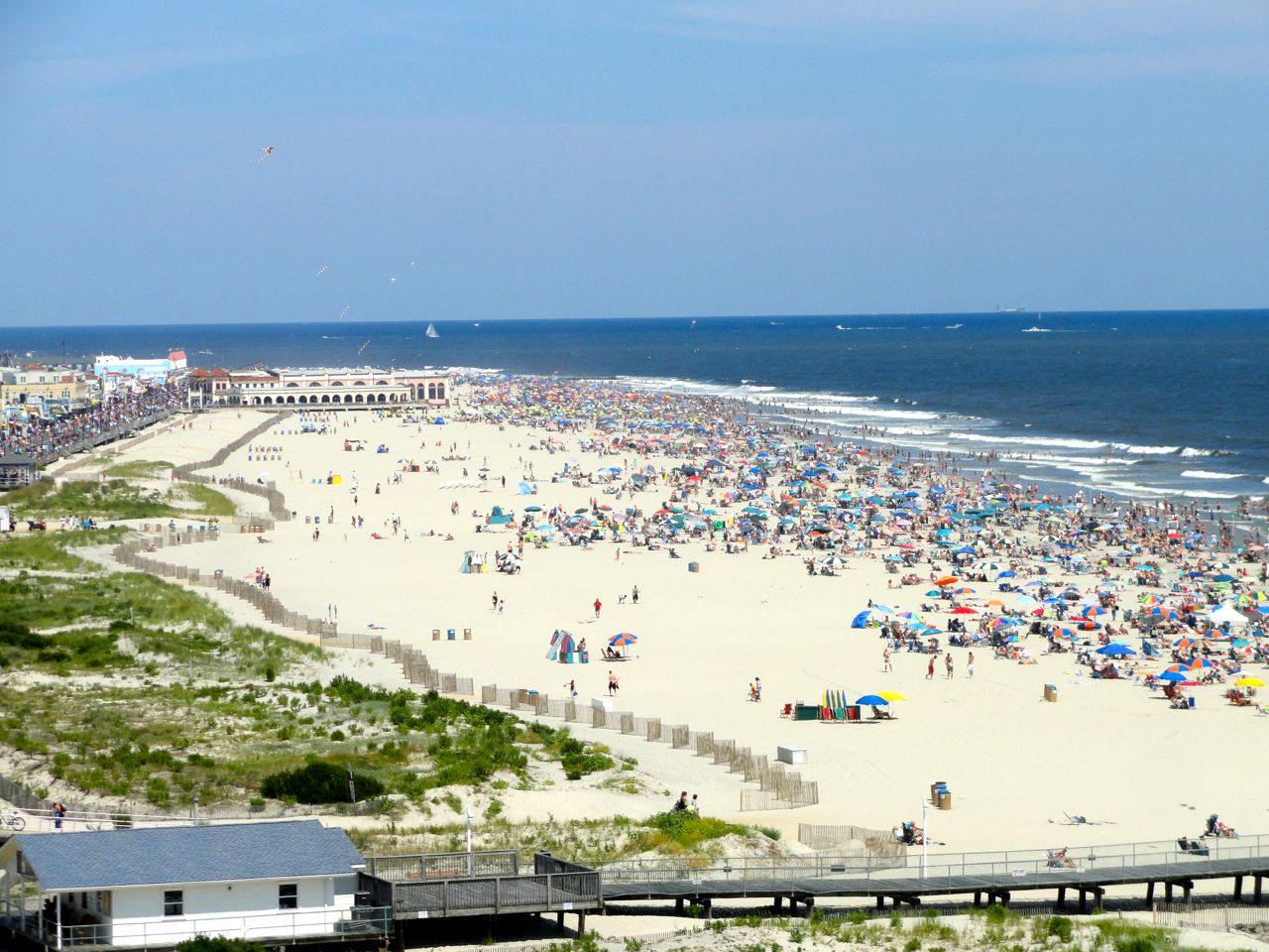 Balloting Open for New Jersey's Top 10 Beaches | OCNJ Daily