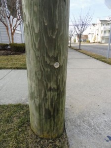 Just three blocks away toward the beach, a marker on a telephone pole at 29th Street and Central Avenue shows where a 10-foot tide (on the  NAVD1988 scale) would fall. 