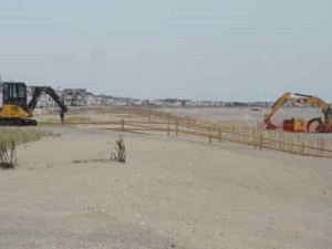 An Army Corps of Engineers contractor installs fencing marking dune crossovers between 37th Street and 59th Street.