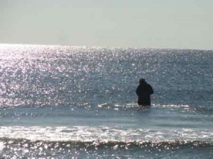 Competitors in the Surf Fishing Tournament in Ocean City on Saturday enjoyed bright sunshine and glassy calm seas.
