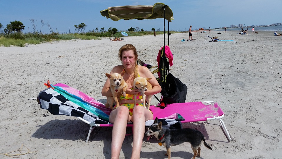 Debbie Price, of Buena Vista Township, said she wouldn't object to buying doggie beach tags for her three Chihuahuas if they become a requirement in Ocean City.