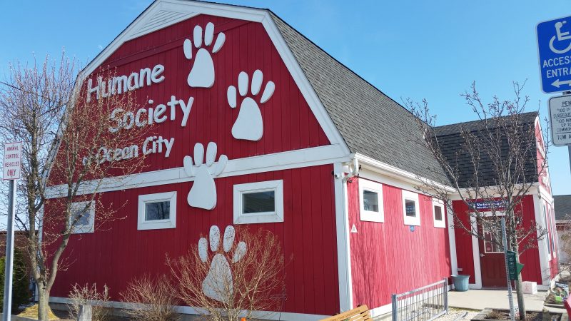 The Humane Society, founded in 1964, has been at its current location on Shelter Road near the city's airport since the 1980s.