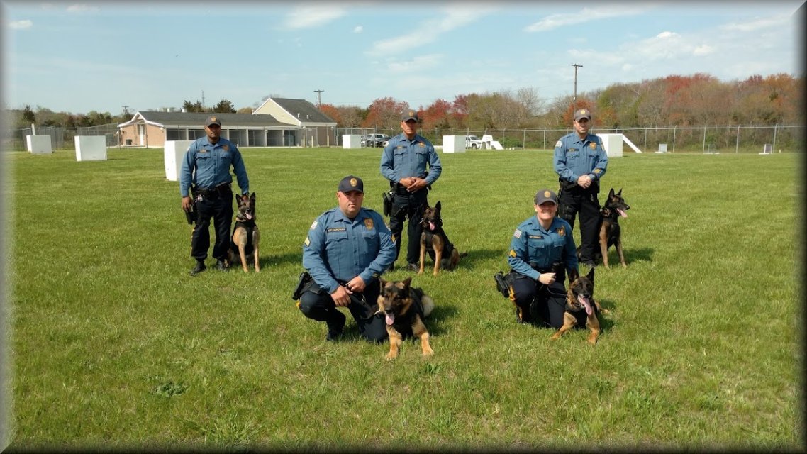 K-9 Units Sweep CMC Technical High School for Drugs | OCNJ Daily