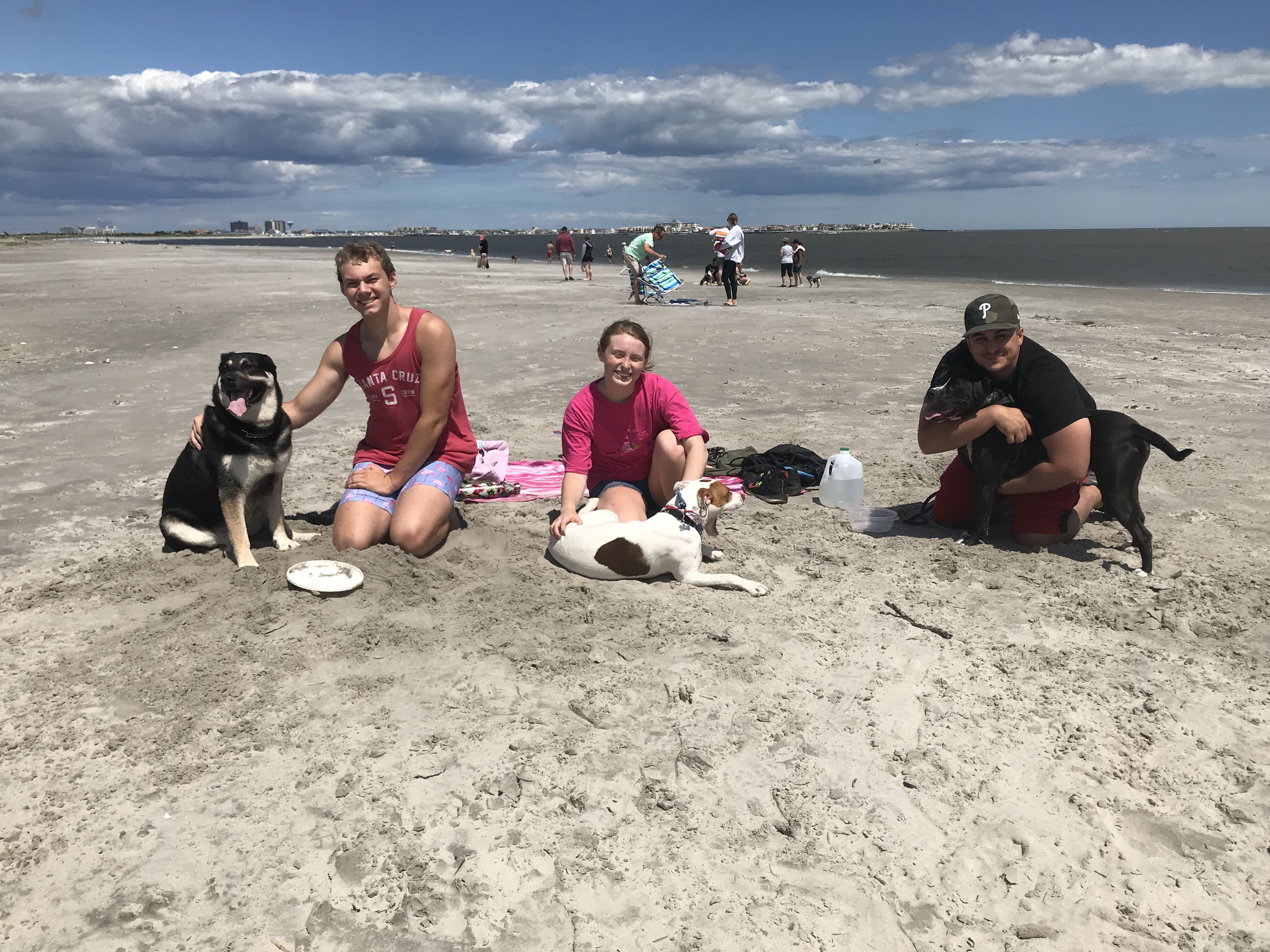 are dogs allowed on the beach in ocean city nj