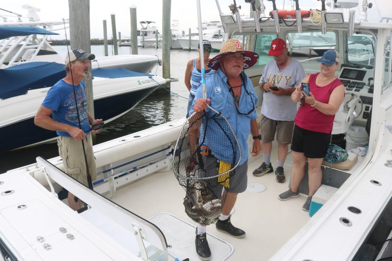 Hop Aboard Mighty Heron Charters for Family-Friendly Fishing Trips
